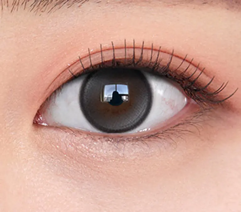 글로이티어 그레이